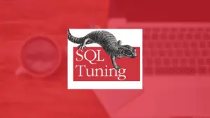 Formation SQL TUNING POUR LES DÉVELOPPEURS ORACLE 12C ED2