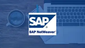 Formation SAP NetWeaver - Administration du SAP Web AS ABAP l Generale Performance